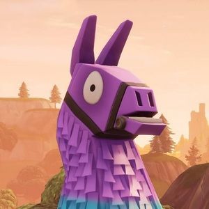 Meet your Posher, Brayden